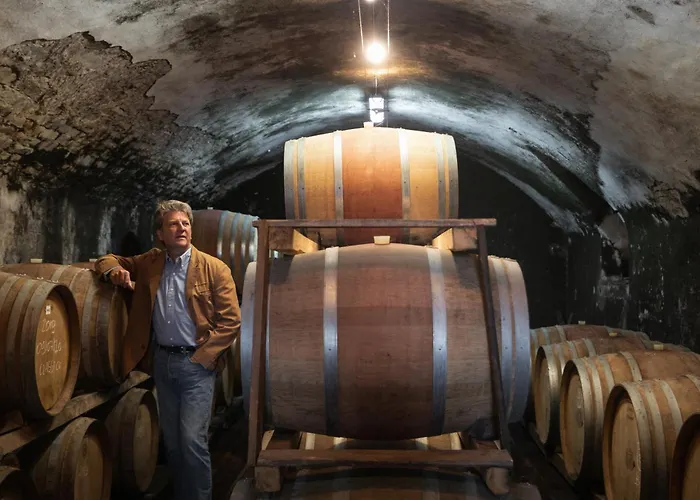 Villa Fattoria di Rignana Greve in Chianti